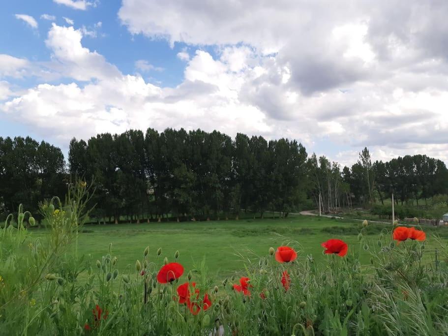 Casa Rural La Endrina Terriente Exteriér fotografie